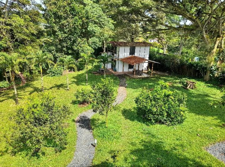 Cabañas en el Bosque - Housity