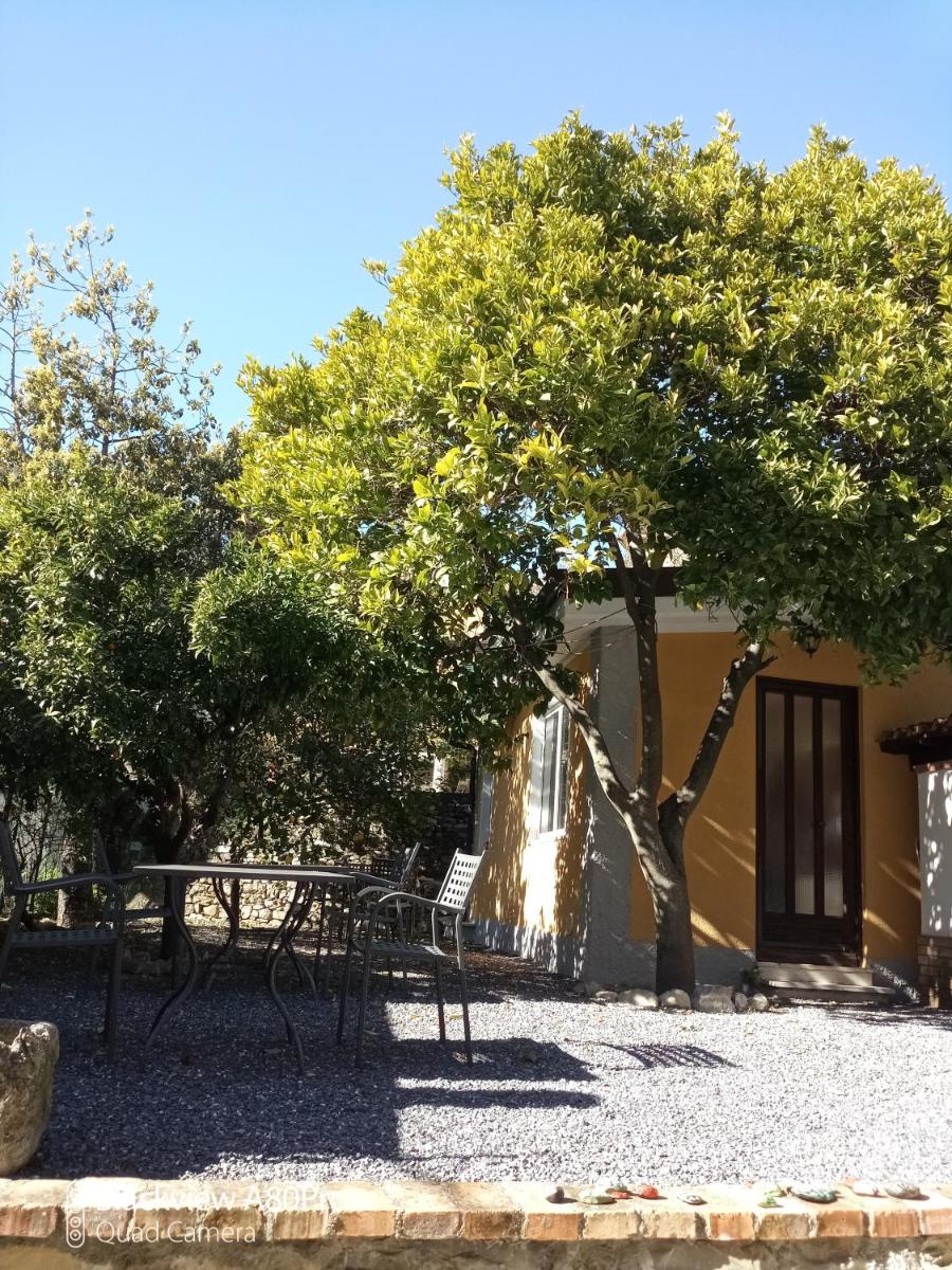 Agriturismo Ardissone Thomas - Housity