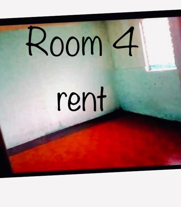 Zebu Trancients - Housity