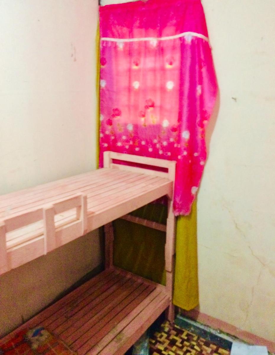 Zebu Trancients - Housity