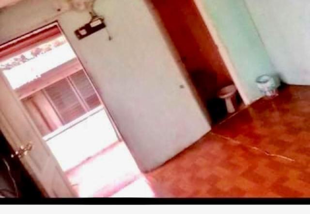 Zebu Trancients - Housity