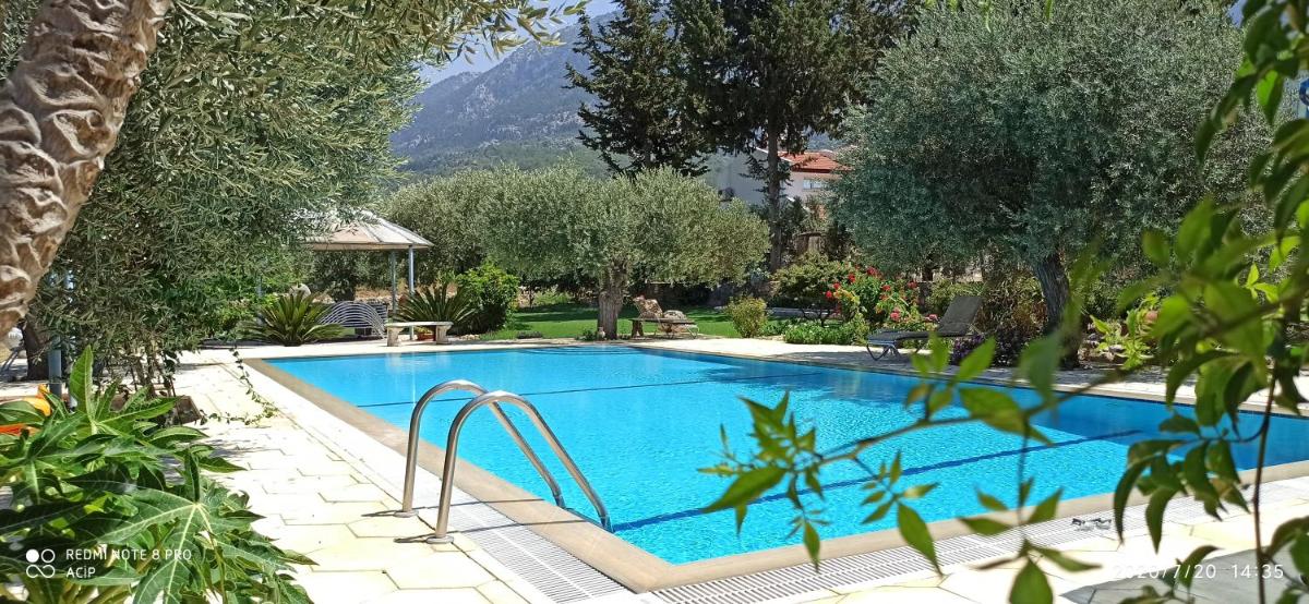 Olive Garden - Housity
