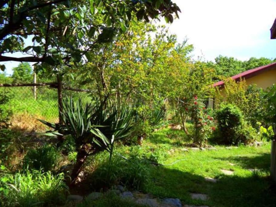 Yellow villa - Housity