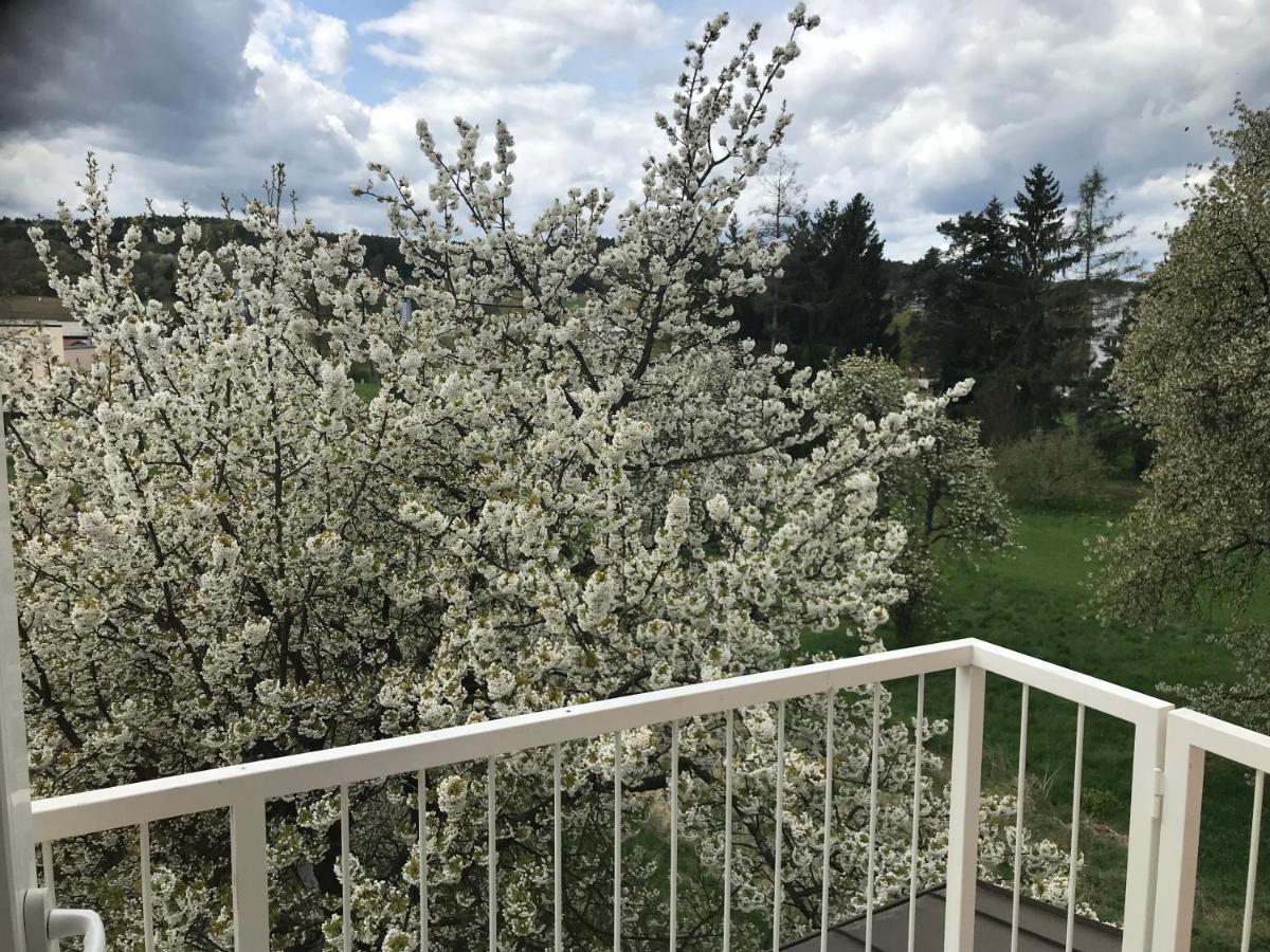 Ferienwohnung Leni ! - Housity