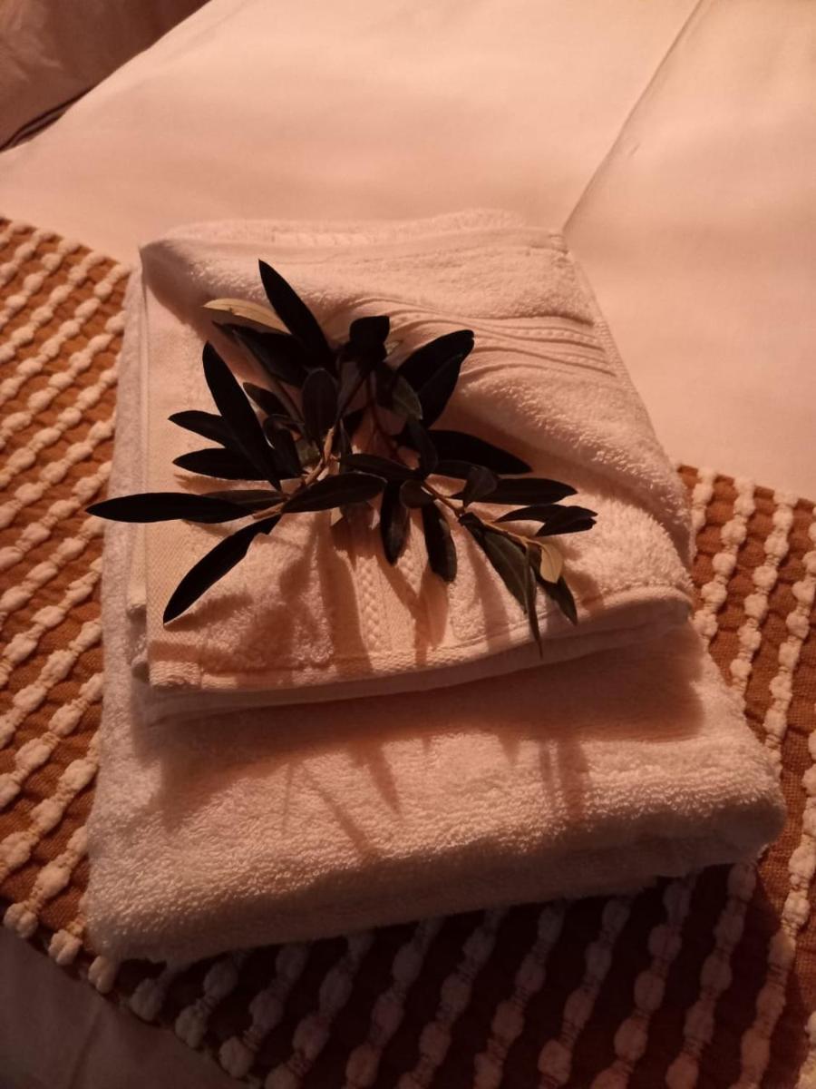 Wiletta's Self Catering - Housity