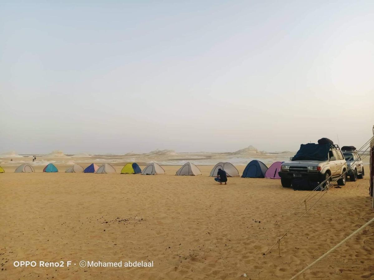 Oasis Safari Tours - Housity