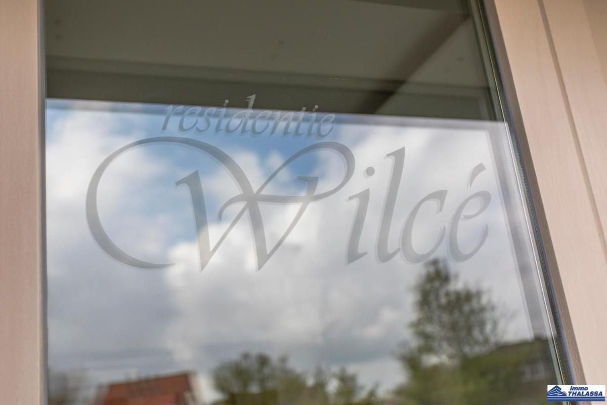 Wilcé 0102 - Housity