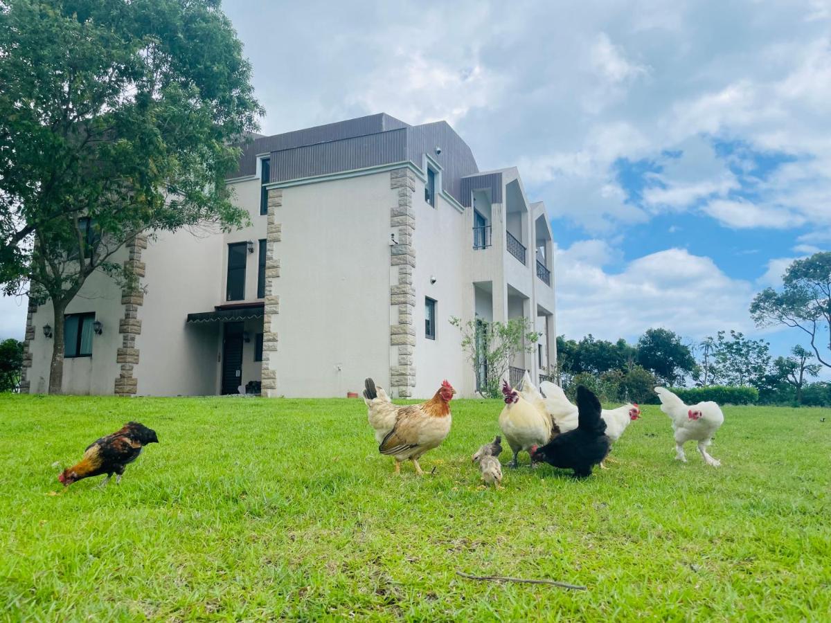 Taroko Mountain View B&B - Housity