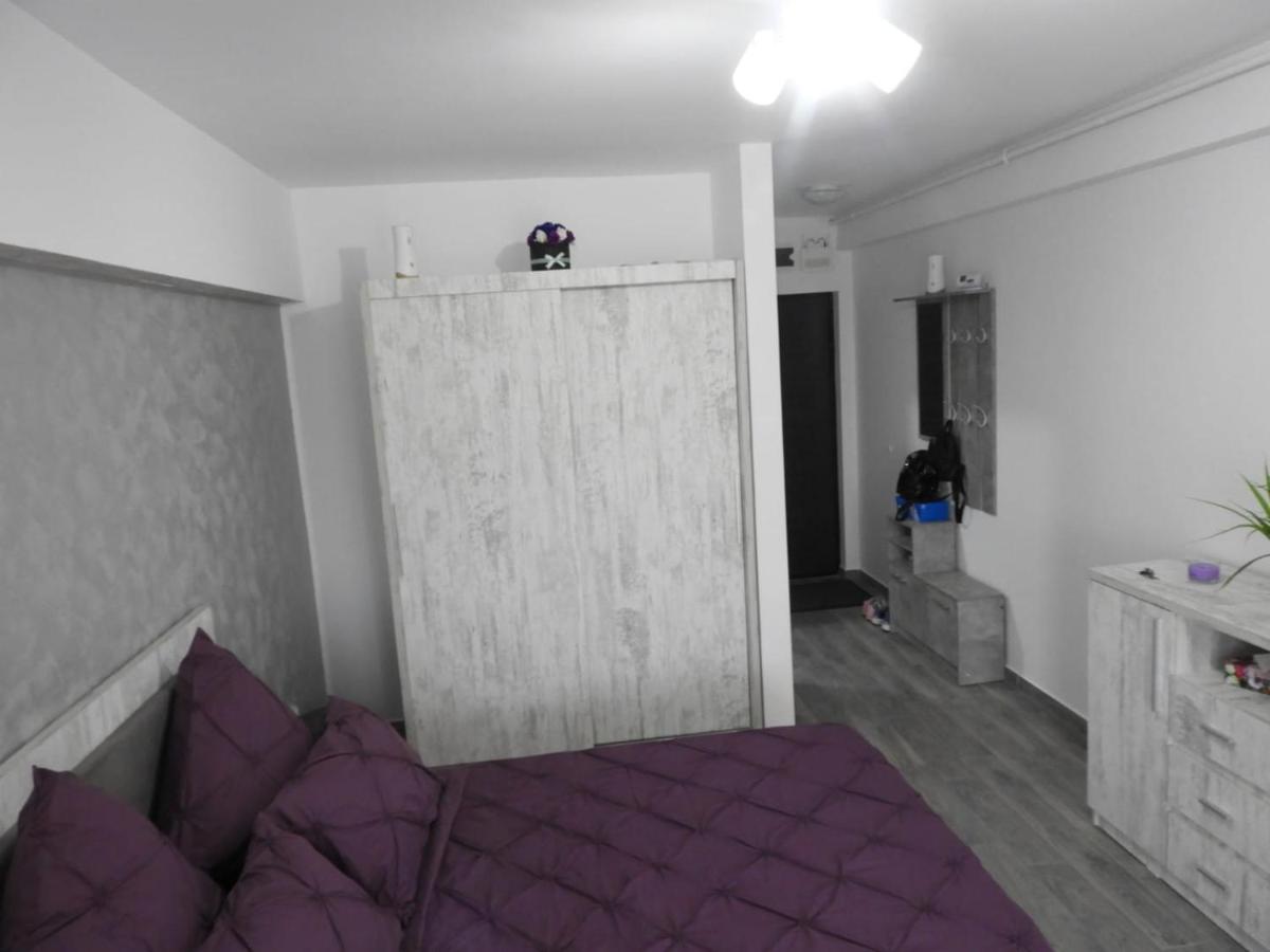 Garsoniera - Housity