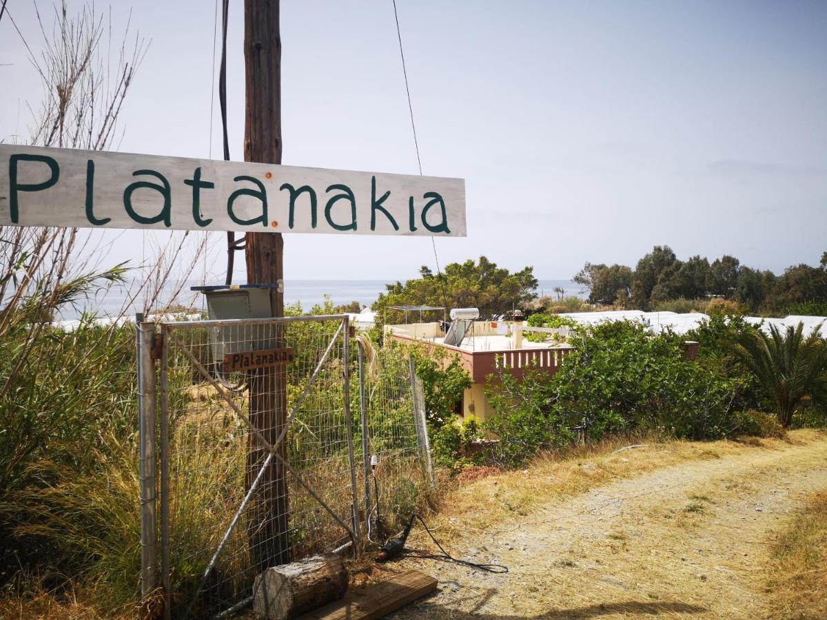 Platanakia - Housity