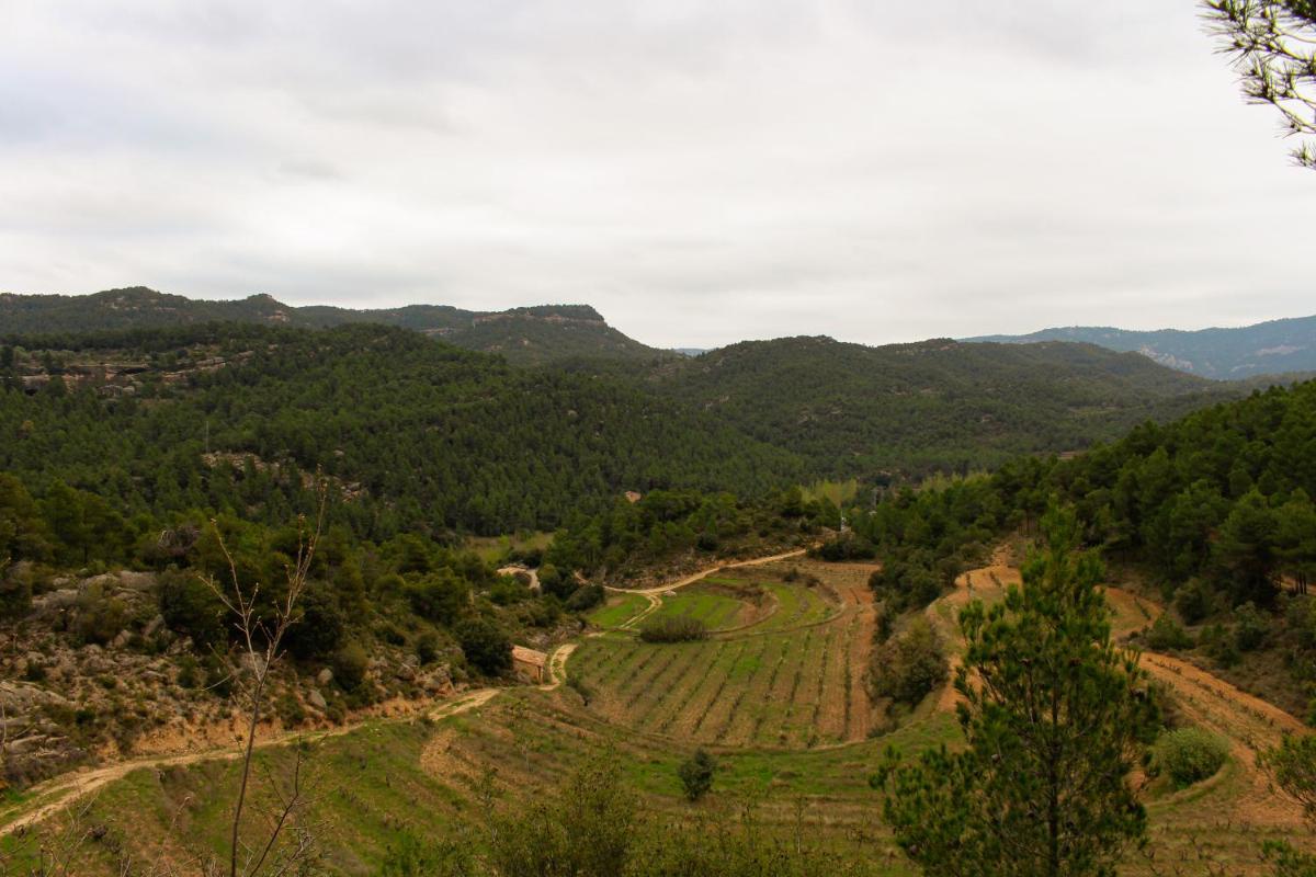 Paisaje cerca de este hotel