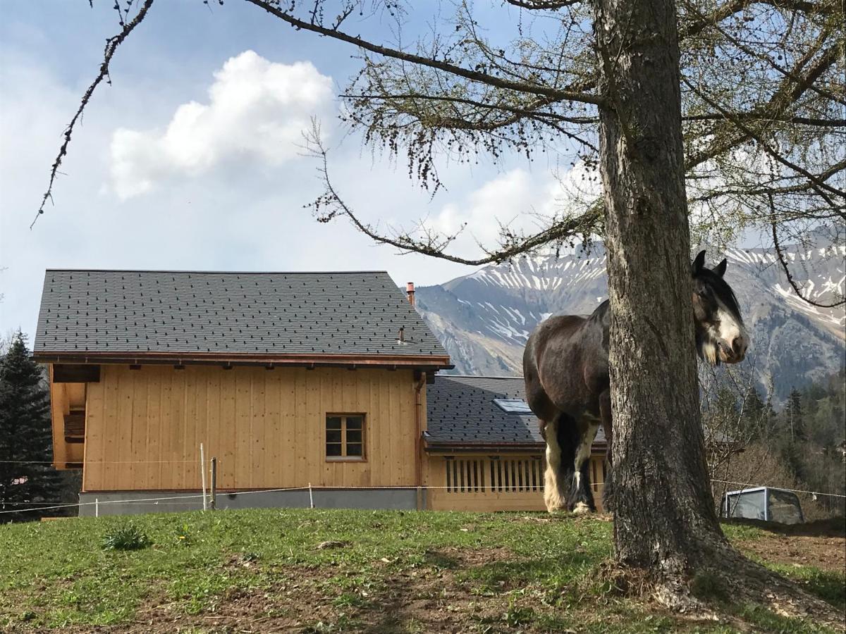 Au Pré des Chevaux - Housity