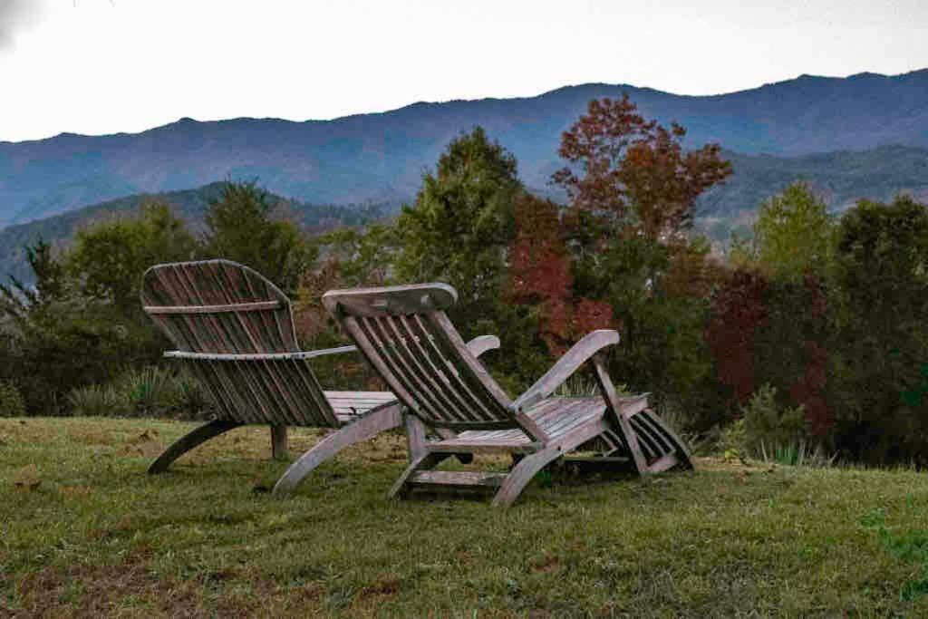 Million Dollar View! Peaceful, Cozy Apartment. - Housity