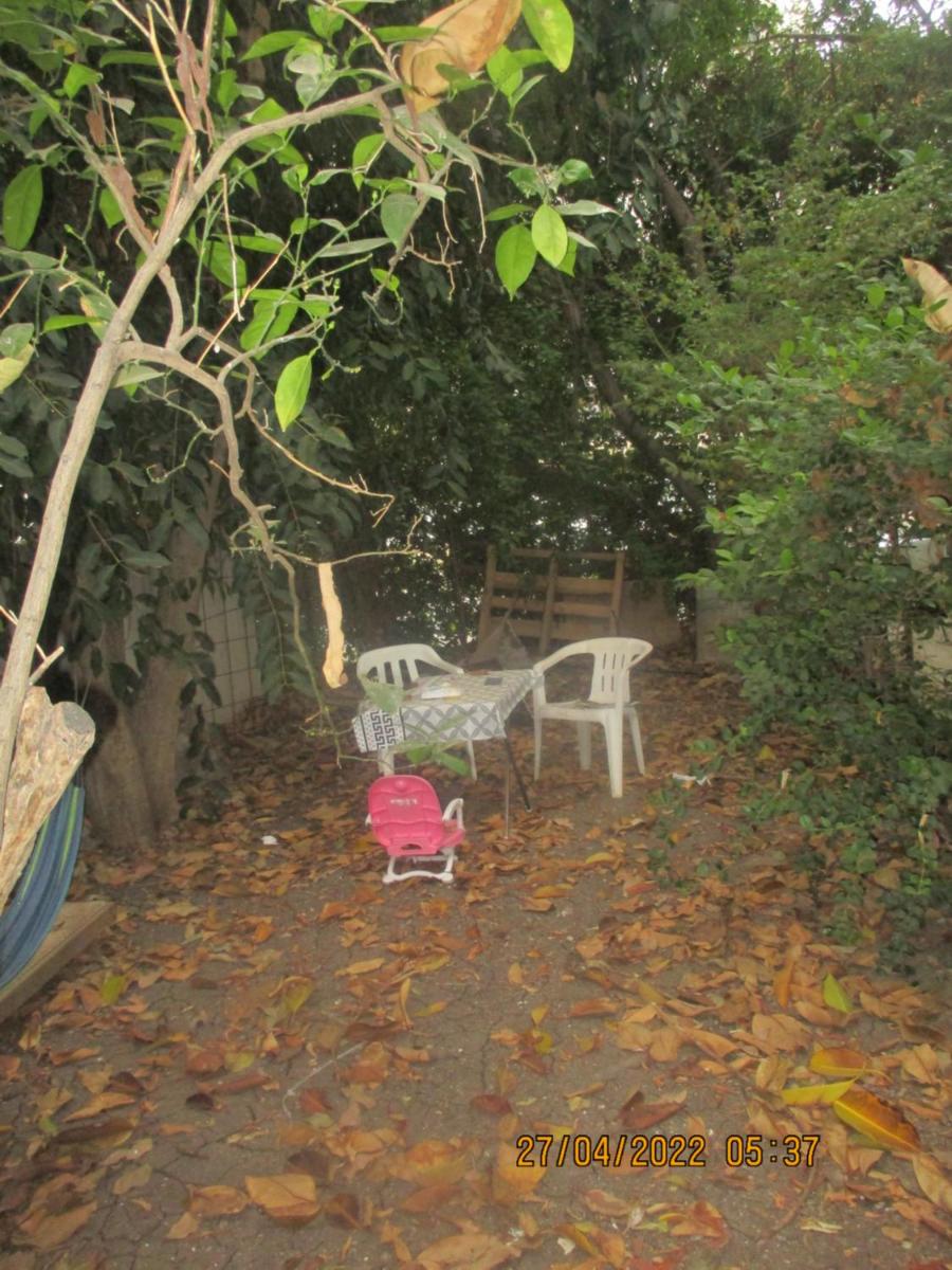 דירת אירוח בצל האילנות - Housity