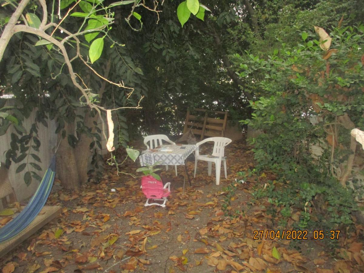 דירת אירוח בצל האילנות - Housity