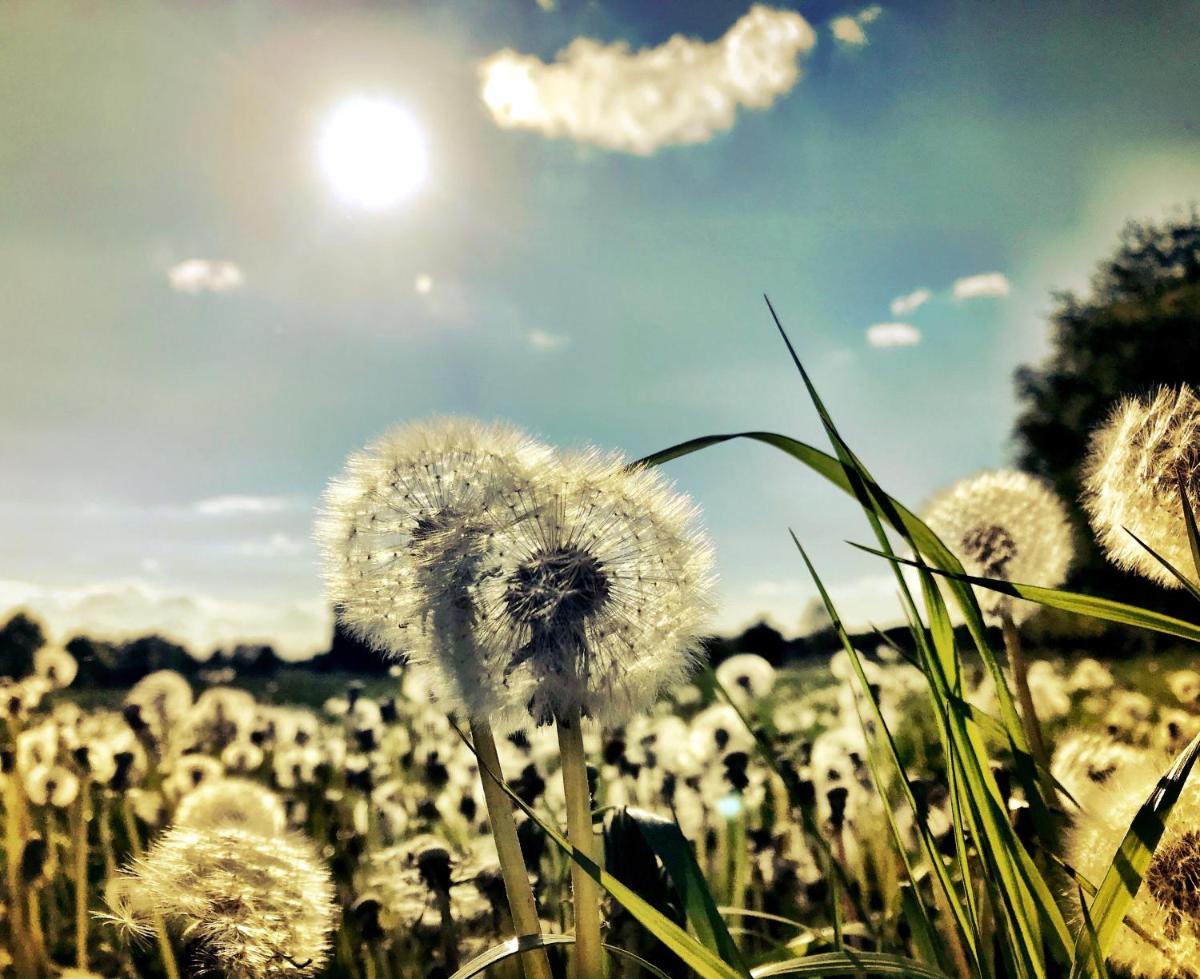 Auszeit am Moor - Housity