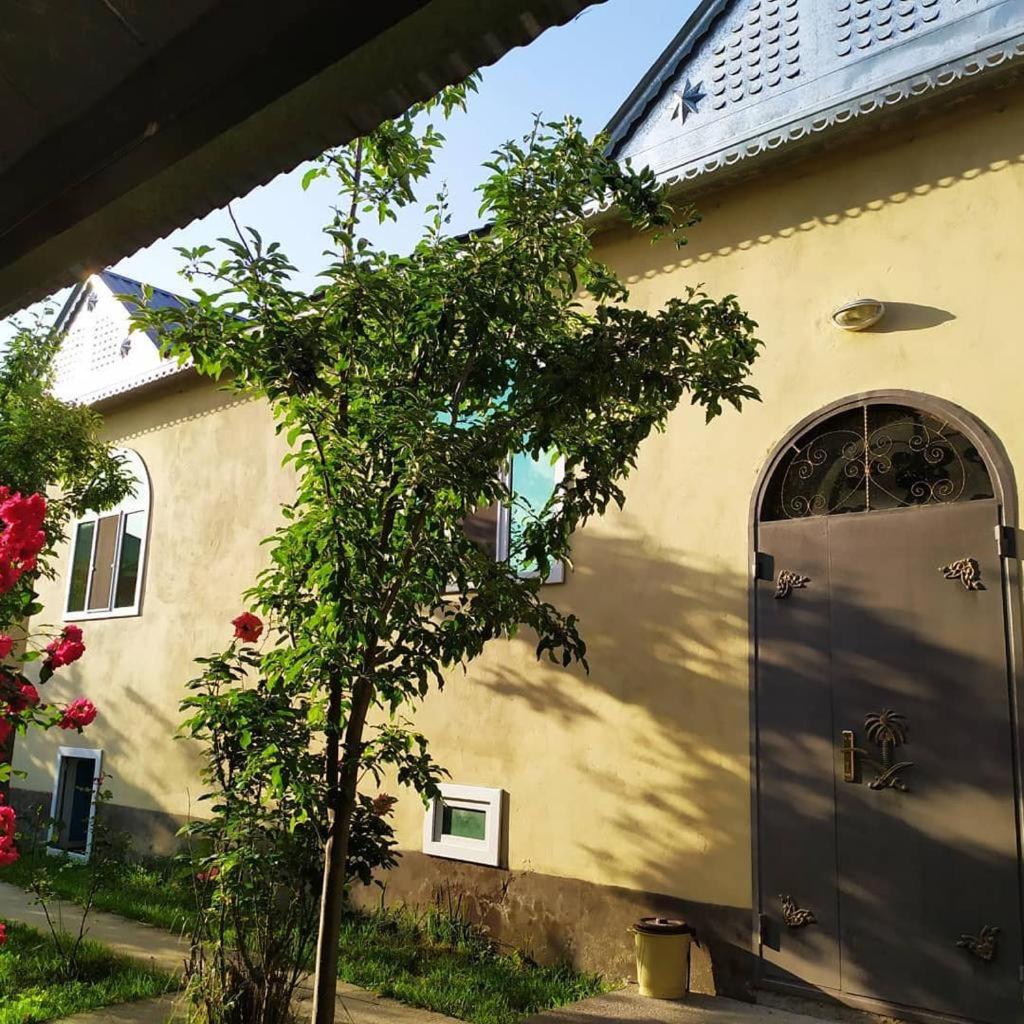 Gabala Rent House - Housity