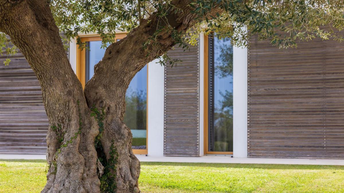 CASA CENO 12, Emma s - Housity