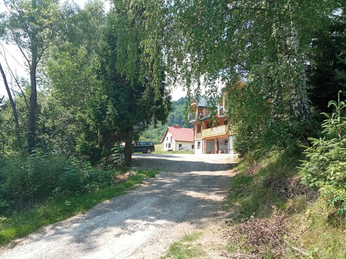 Noclegi Kamionka - Housity