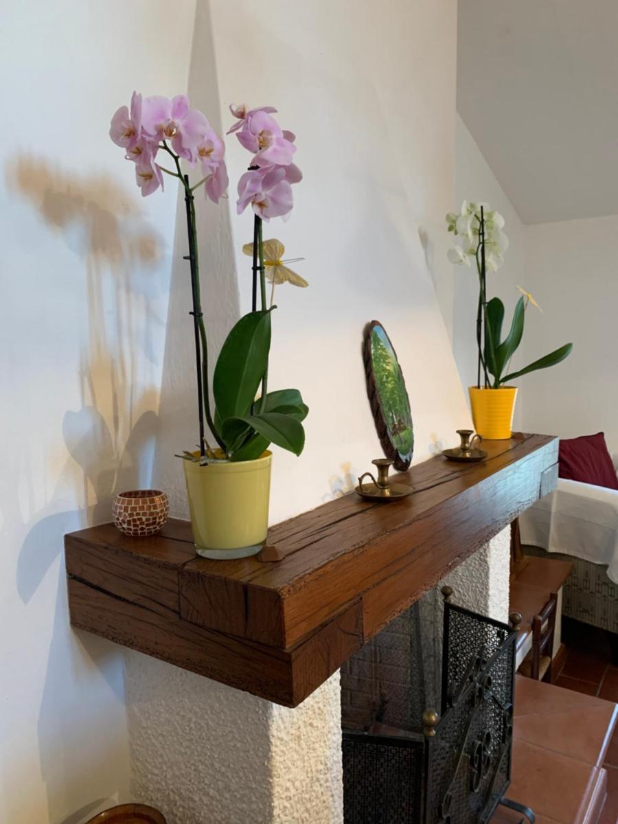 B&B Codivilla - Housity