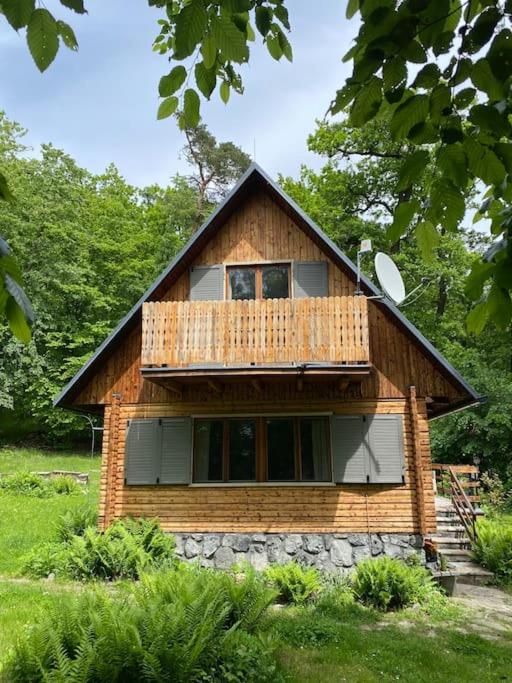 Wooden house in the nature - Housity