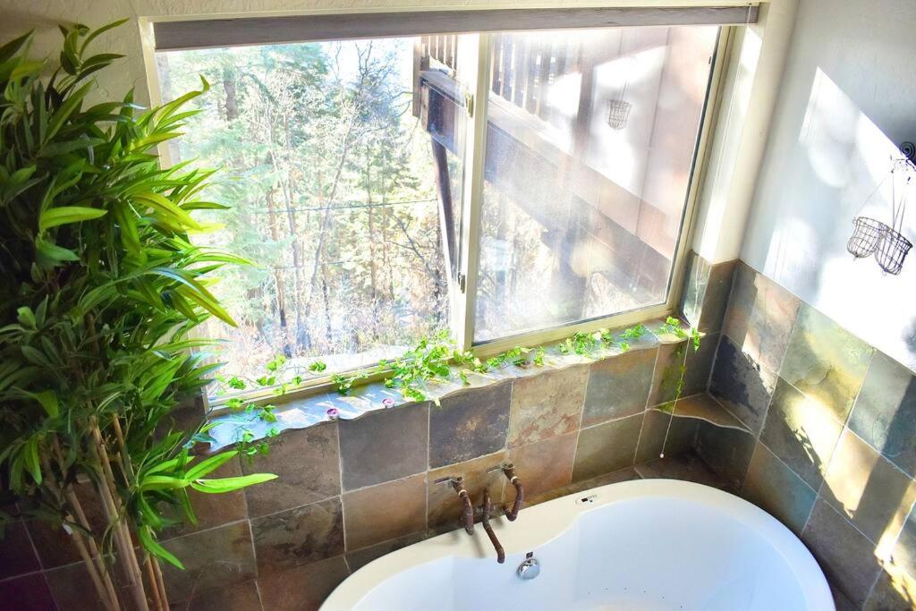 Sweet getaway in private Giant Sequoia Grove! - Housity