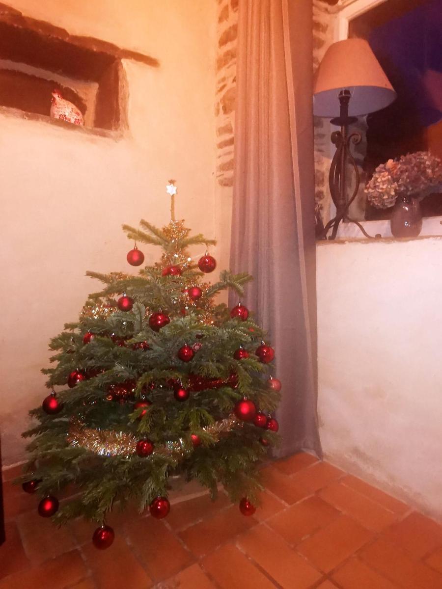 Petite maison dans les Monts d'Arrée TY COZ - Housity