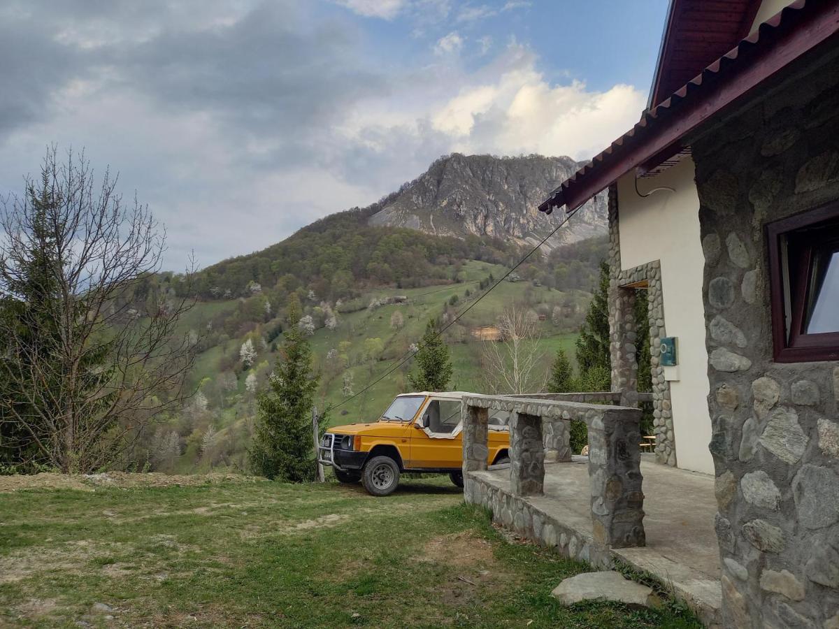 Cabana Belvedere Dragoslavele - Housity