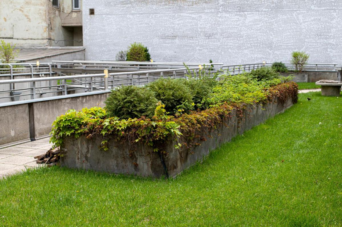 ELITE CENTER APARTMAN - Housity