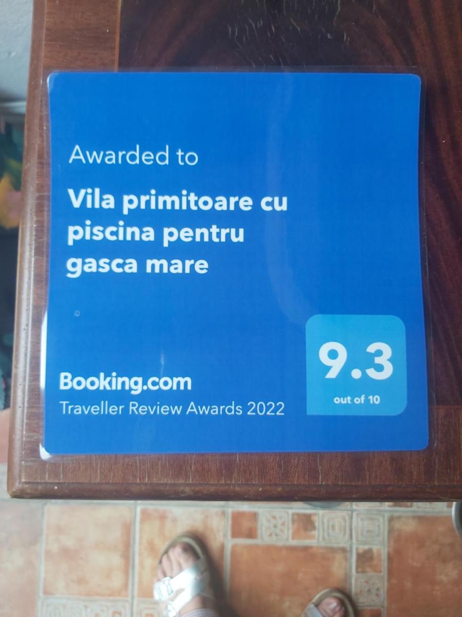 Vila primitoare cu piscina pentru gasca mare - Housity