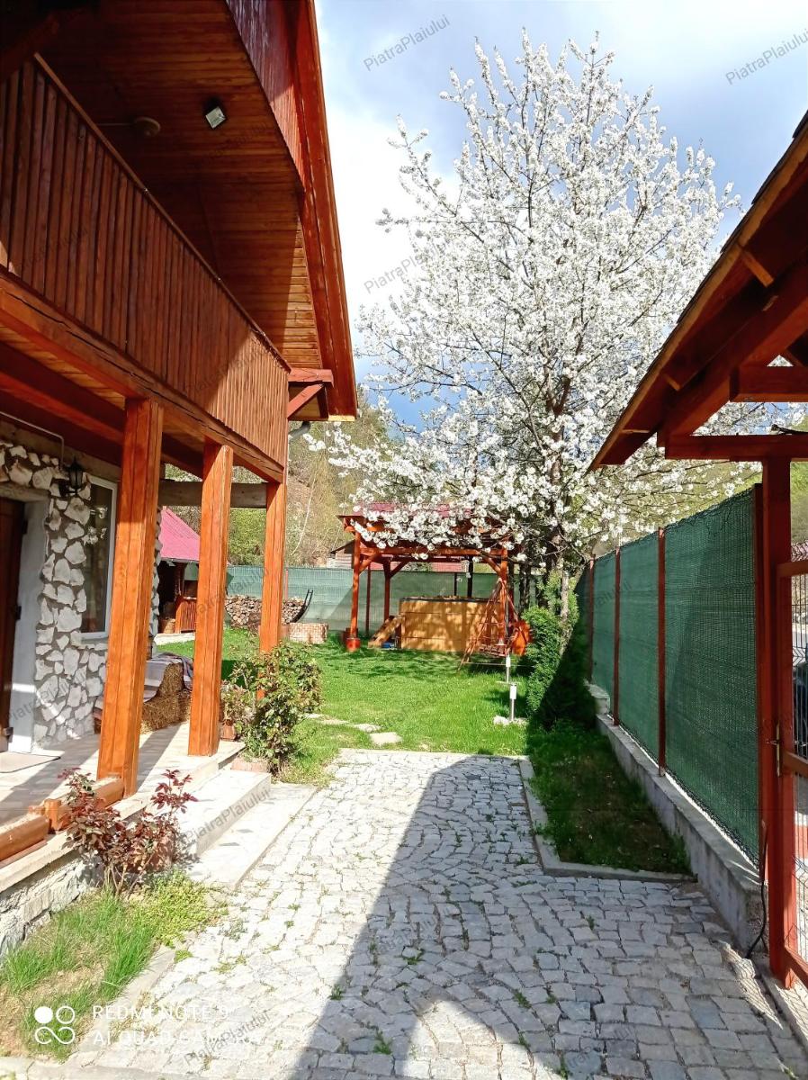 Cabana Piatra Plaiului - Housity