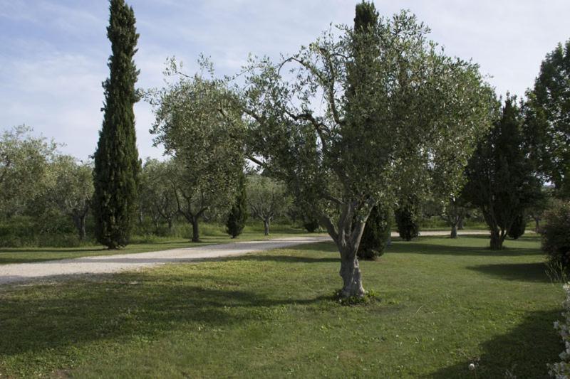 Suitetrails - Agriturismo Scuderie della Contea