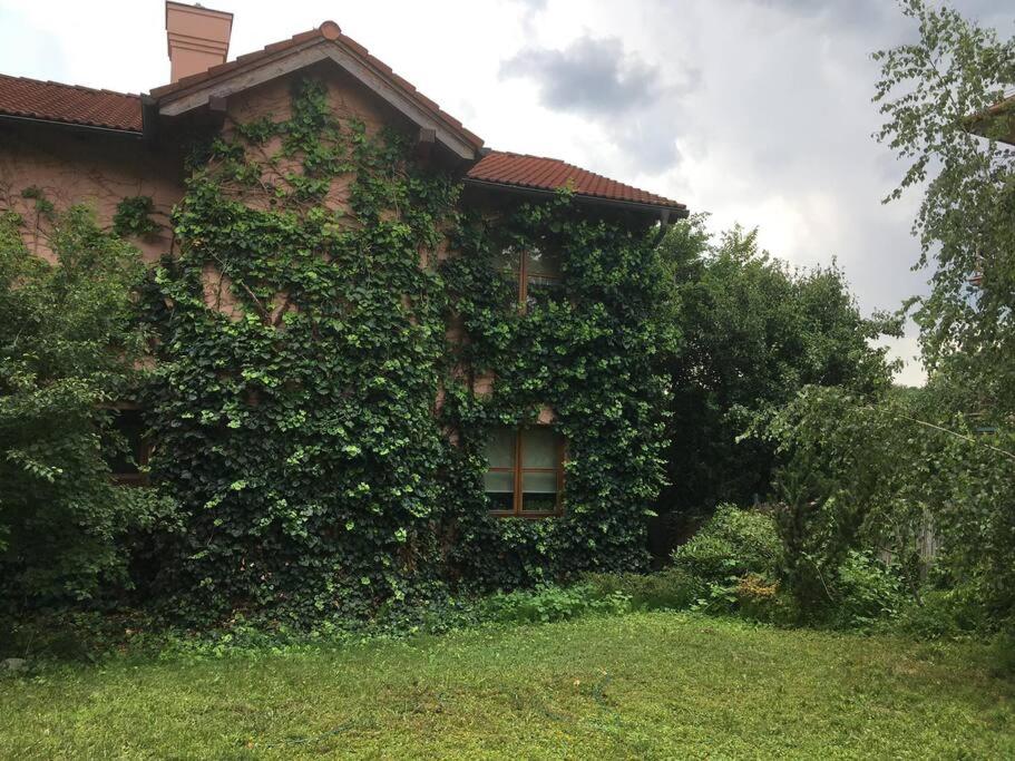 Rozprávkový dom s veľkou záhradou a s vírivkou a saunou Badín - Housity