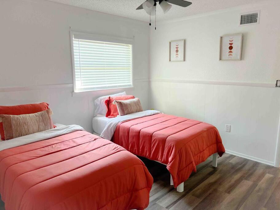 Sparkling Guest Home 2 bedroom-15 Minutes to Clearwater Beach - Housity