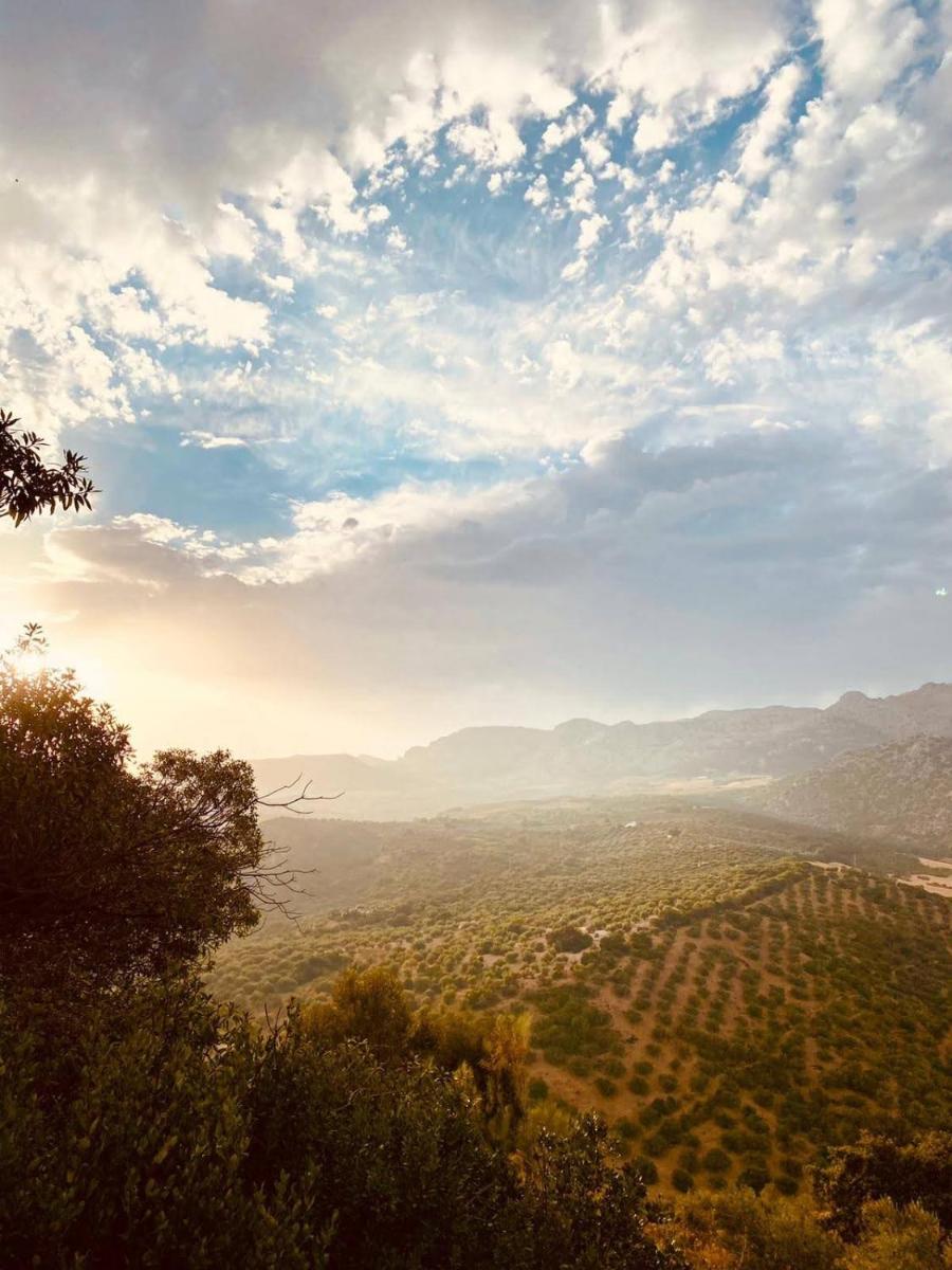 Suitetrails - Cortijo Sylvestre