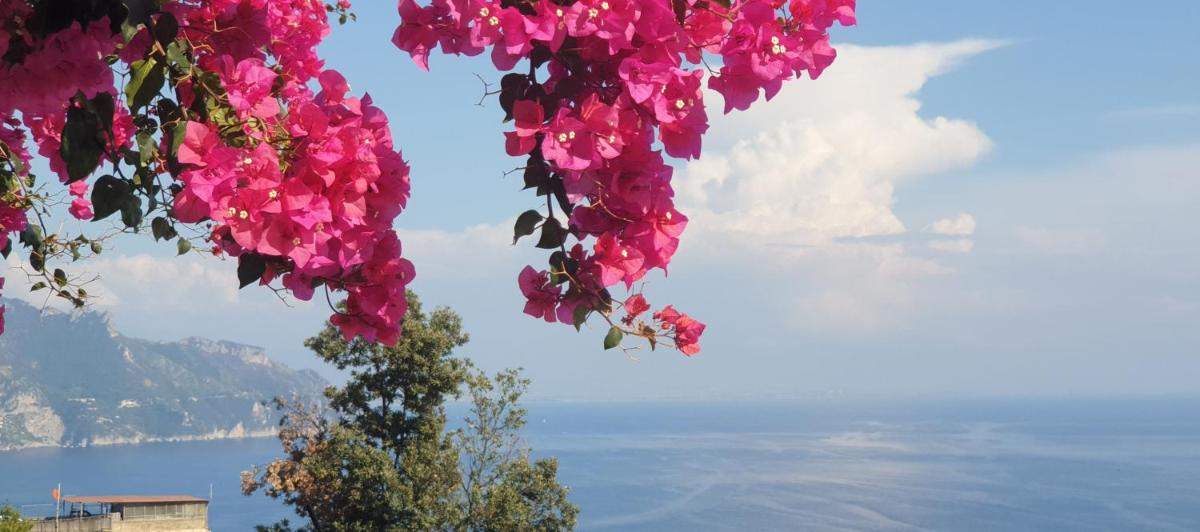 Suitetrails - Casa Grace Amalfi - seaview