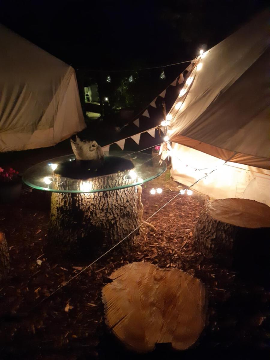 The White Dove Bed and Breakfast with Glamping Newark showground - Housity