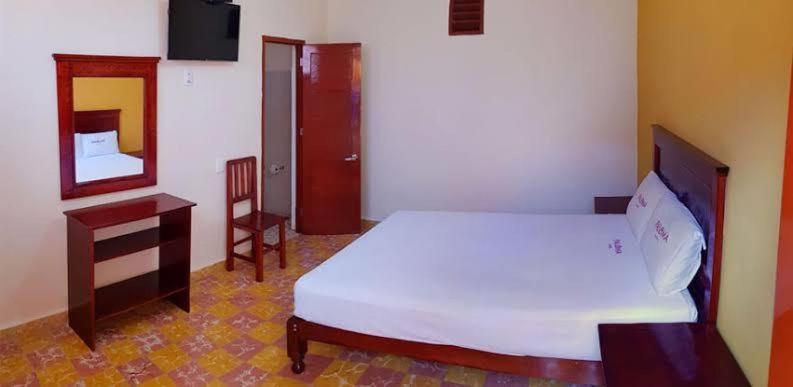 Hotel Paloma - Housity