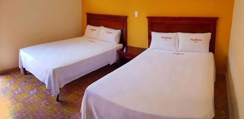 Hotel Paloma - Housity