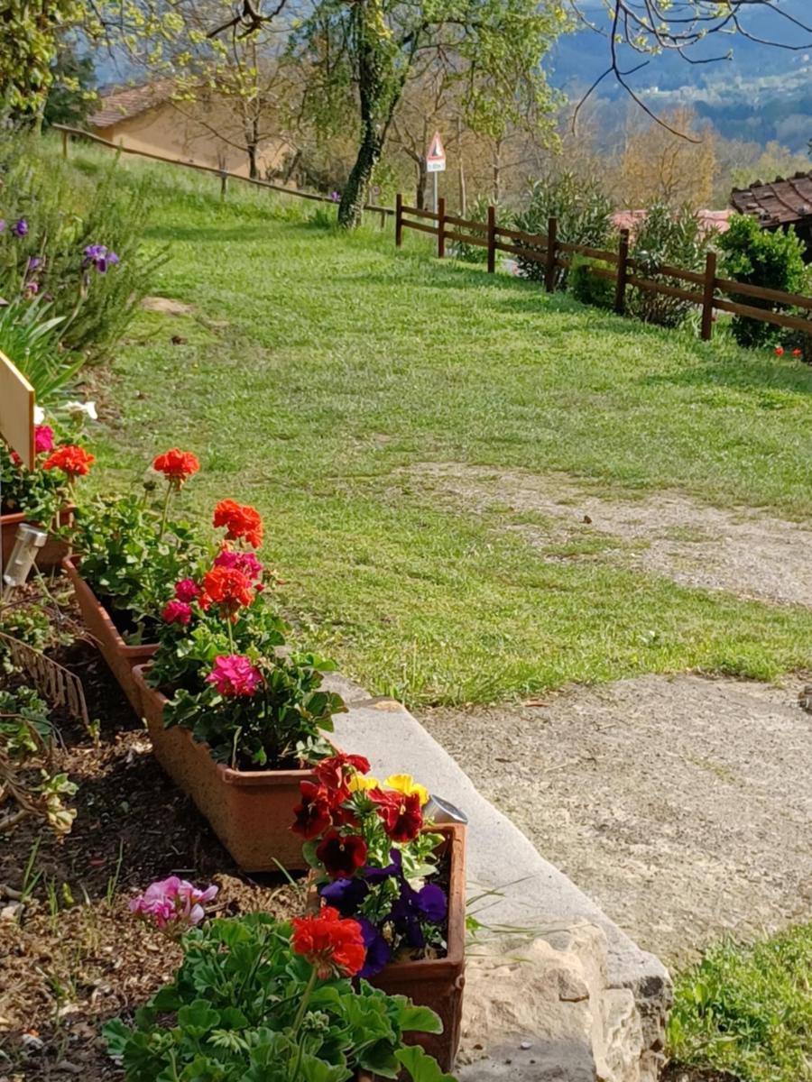 Daniela B&B Affittacamere - Housity