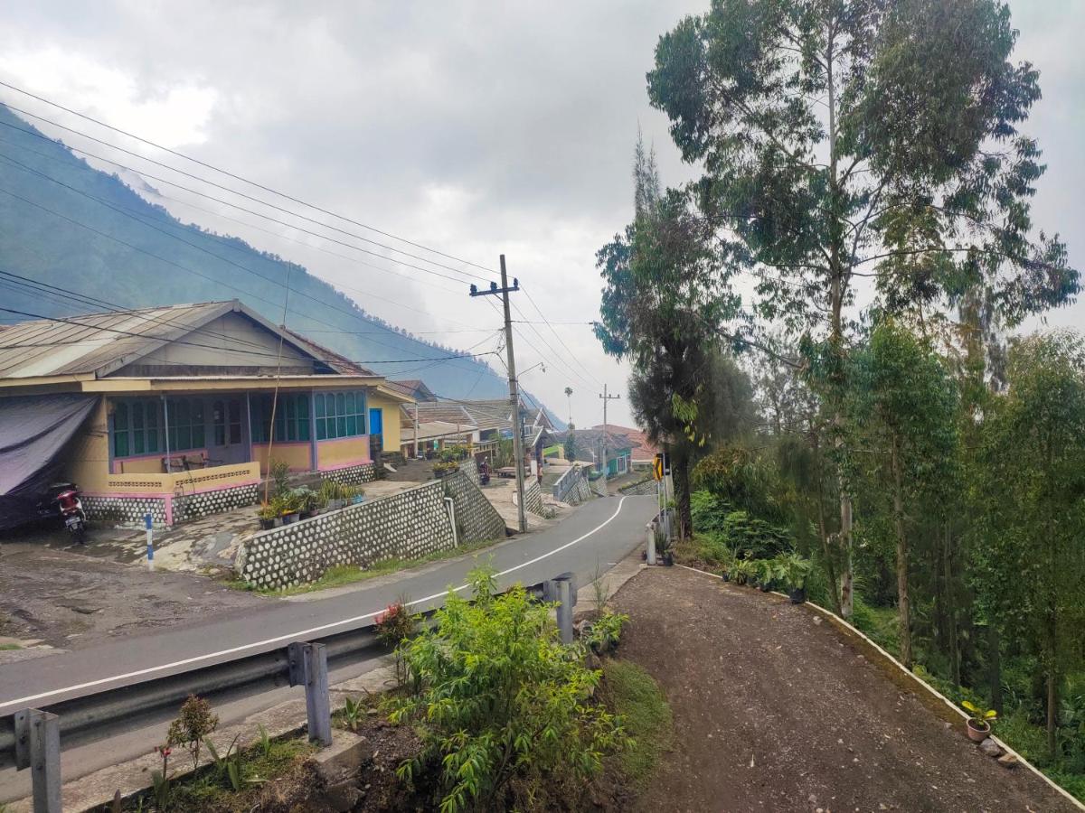 Villa Ricky 3 Gunung Bromo - Housity