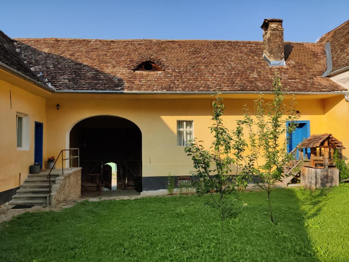 Experience Transylvania Alma Vii 103B - Housity