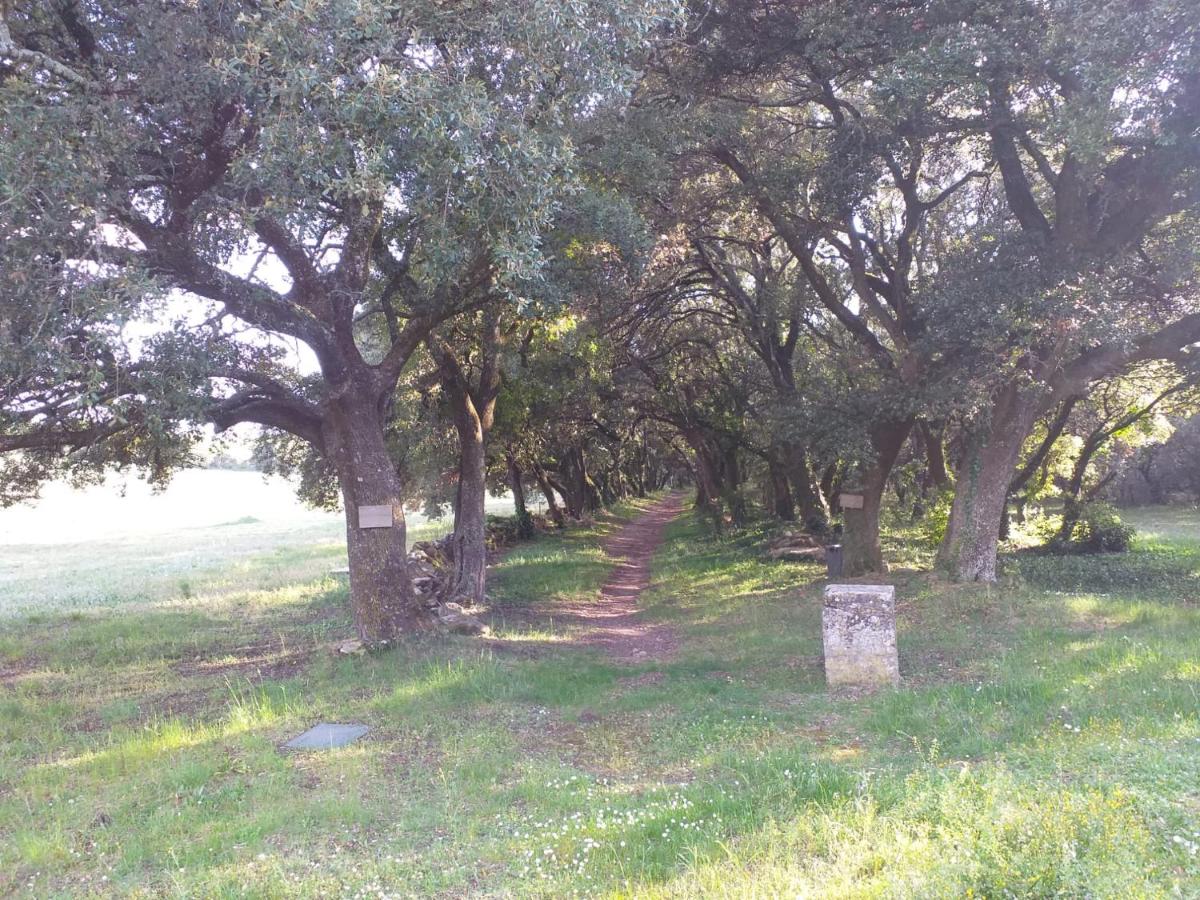 Prieuré de Grignan - Housity