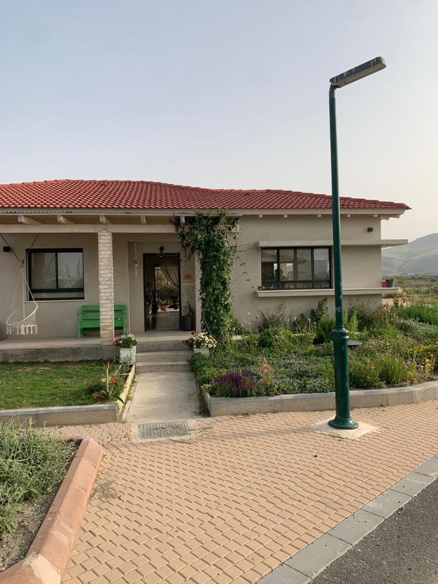 Lebedev's - Housity