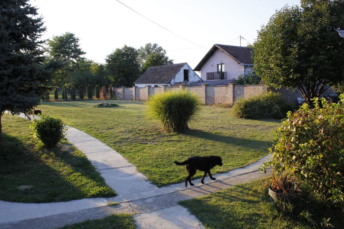 Apartments Osijek by the River - Housity
