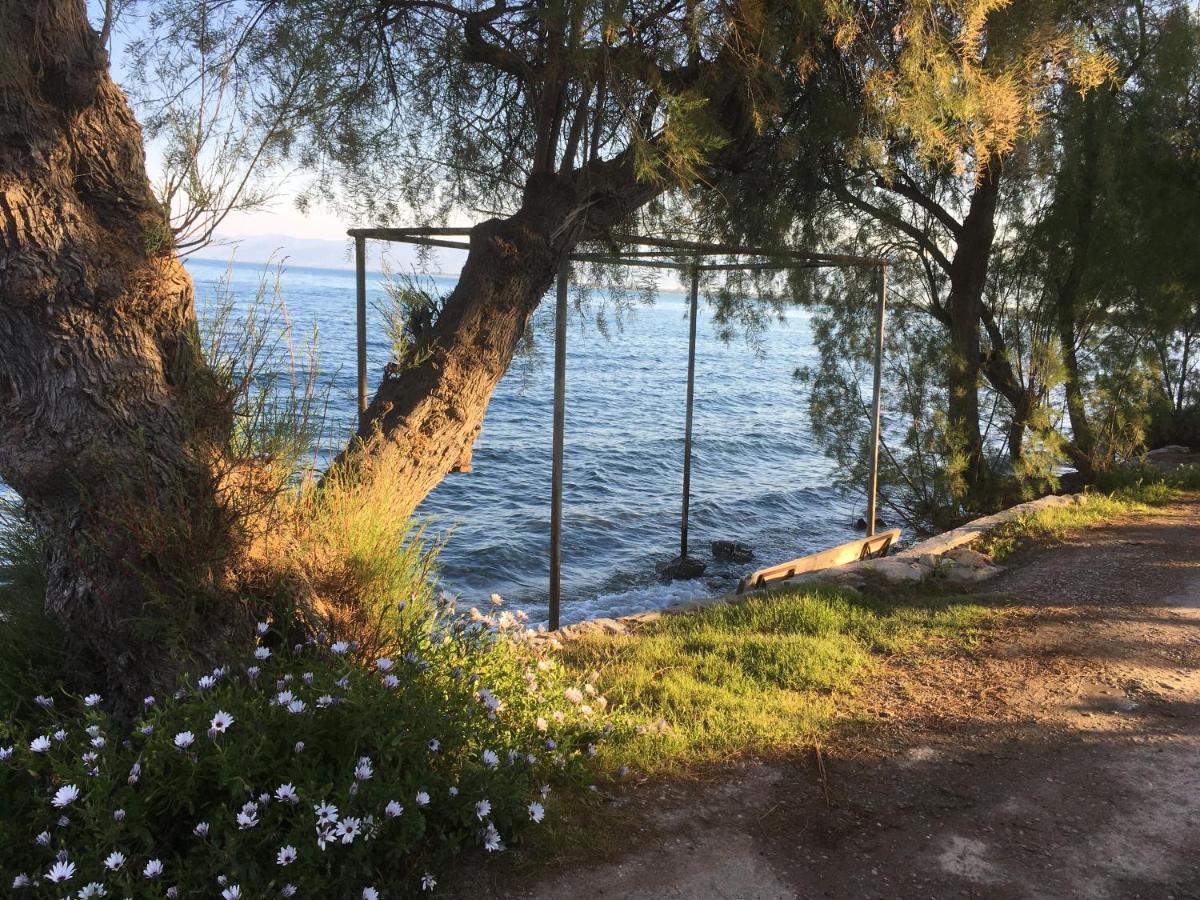 Seaside apartment with private garden - Housity