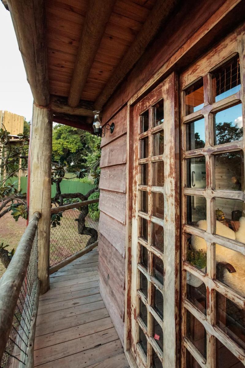 Tiny Tree House a Beira Lago - Housity