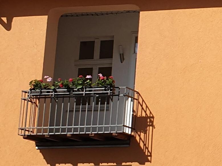 Pension Refugium überm Schwansee - Housity