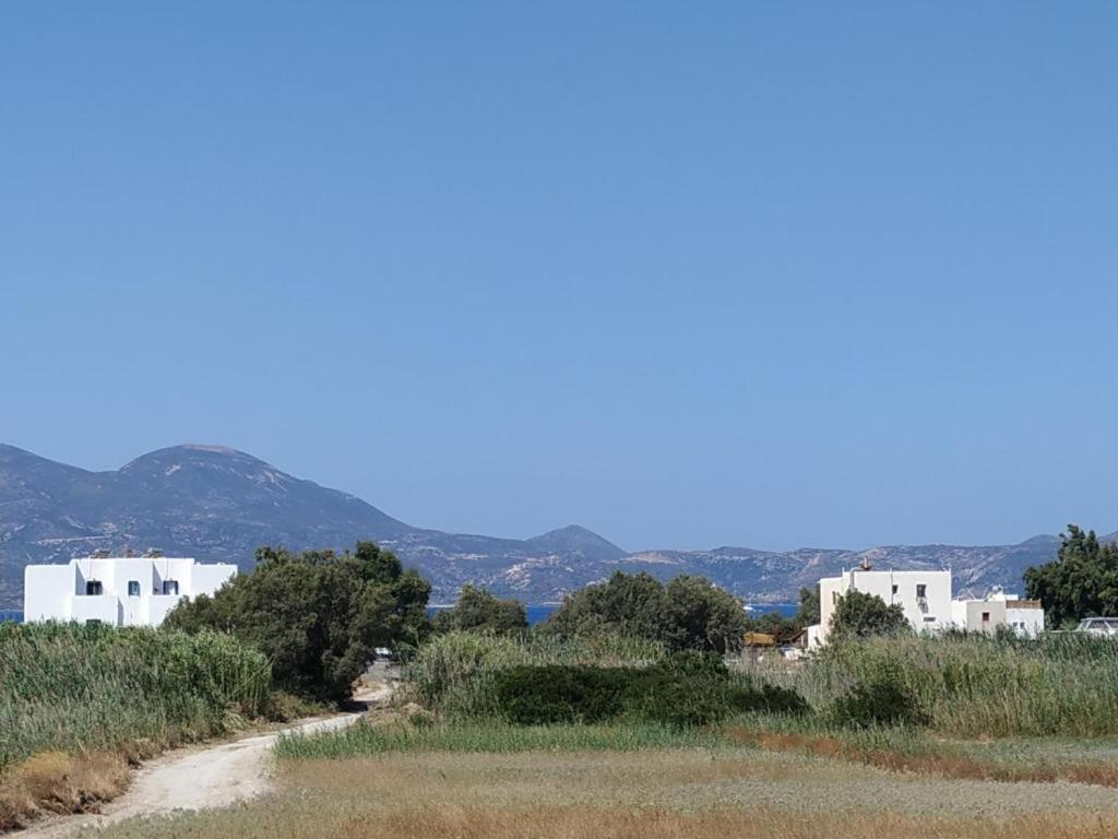 Papikinou Studios - Housity