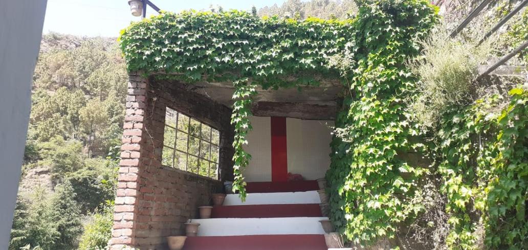 Deep Jyoti Home Stay - Housity